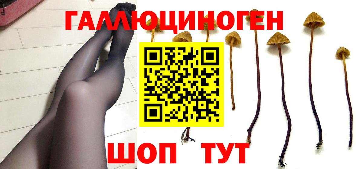 Галлюциногенные грибы GOLDEN TEACHER Абакан